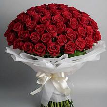 Букет 101 Красная роза Блэк Мэджик в Рыльске