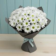 Букет цветов из:  Хризантемы в Рыльске