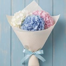 Букет цветов из:  Гортензия в Рыльске