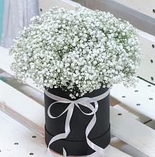 Цветочная композиция из Гипсофила в шляпной коробке #REPLACE_PRED# Рыльске