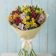 Букет цветов из:  Альстромерии в Рыльске