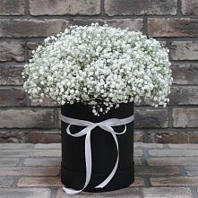 Цветочная композиция из Гипсофила в шляпной коробке #REPLACE_PRED# Рыльске