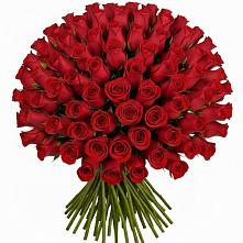 Букет Красные розы Чери Лав #REPLACE_PRED# Рыльске