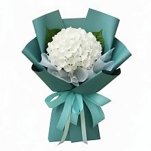Букет цветов из:  Гортензия в Рыльске
